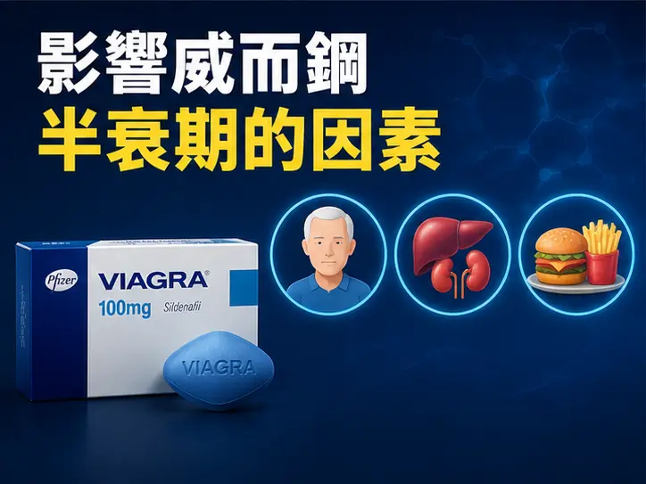 🔬 影響威而鋼半衰期的關鍵因素