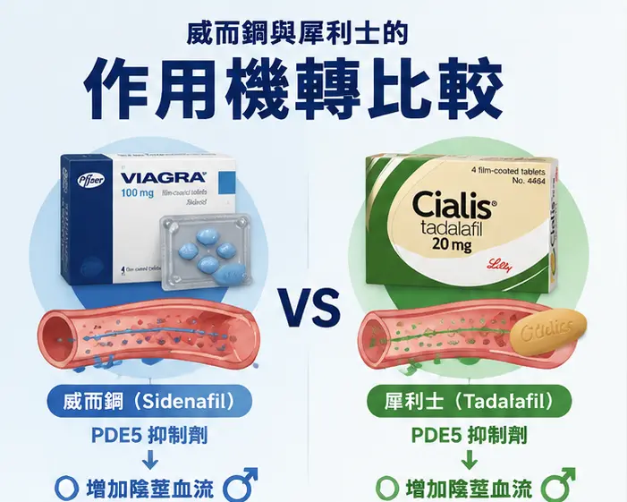 💊 威而鋼與犀利士的作用機轉比較 💊 威而鋼與犀利士的作用機轉比較