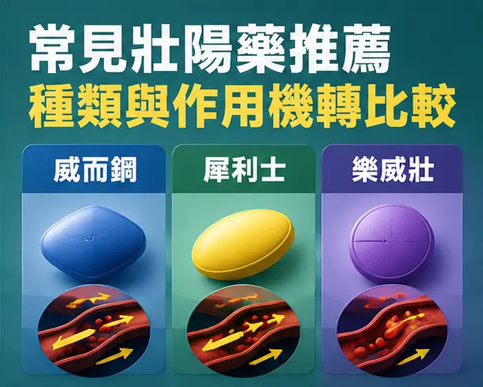 🔍 常見壯陽藥推薦種類與作用機轉比較 🔍 常見壯陽藥推薦種類與作用機轉比較