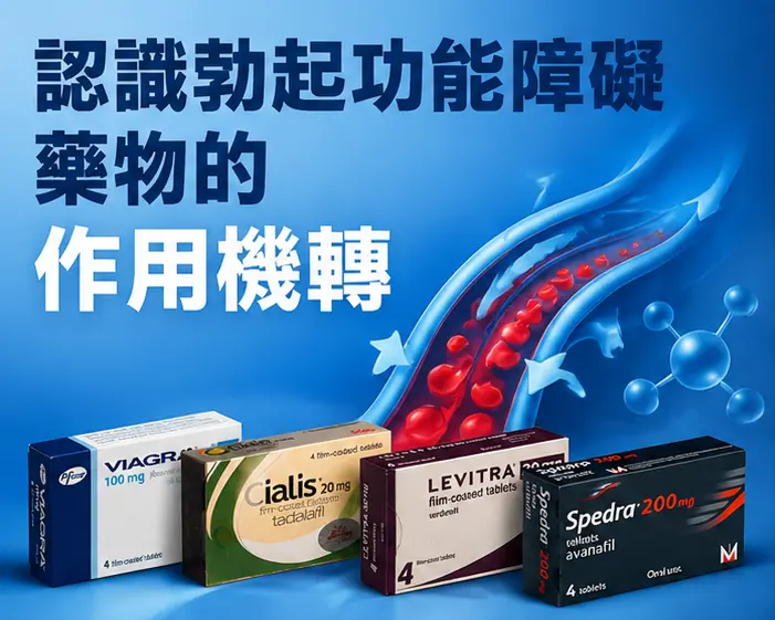 💊 認識勃起功能障礙藥物的作用機轉 💊 認識勃起功能障礙藥物的作用機轉