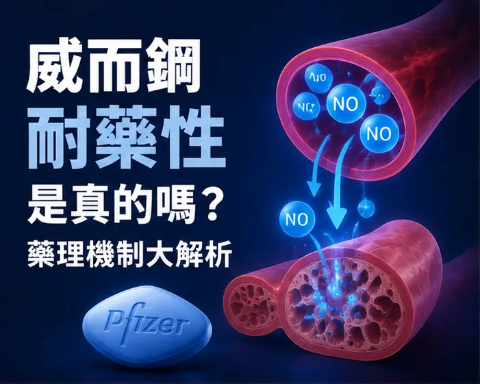 💊 威而鋼耐藥性是真的嗎?藥理機制大解析 💊 威而鋼耐藥性是真的嗎?藥理機制大解析