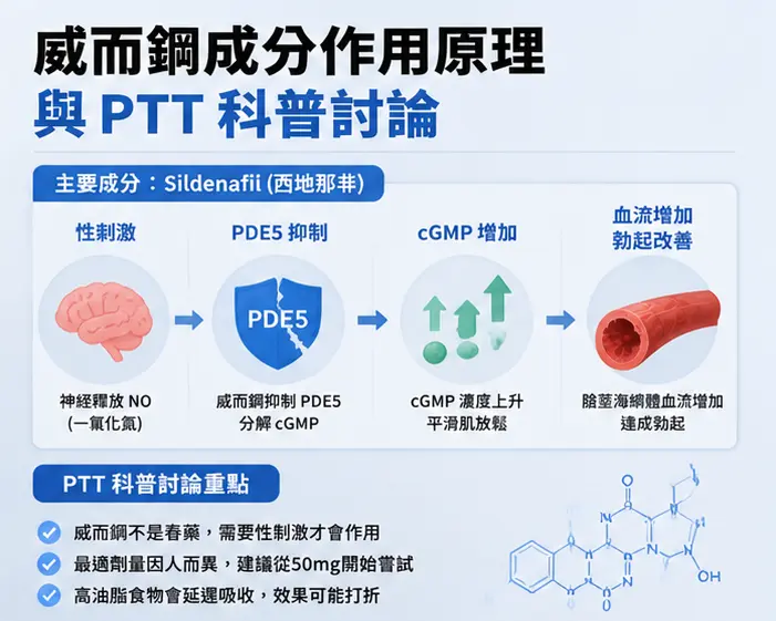 🔬 威而鋼成分作用原理與PTT科普討論 🔬 威而鋼成分作用原理與PTT科普討論
