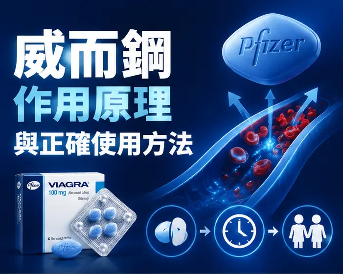 💊 威而鋼作用原理與正確使用方法 💊 威而鋼作用原理與正確使用方法