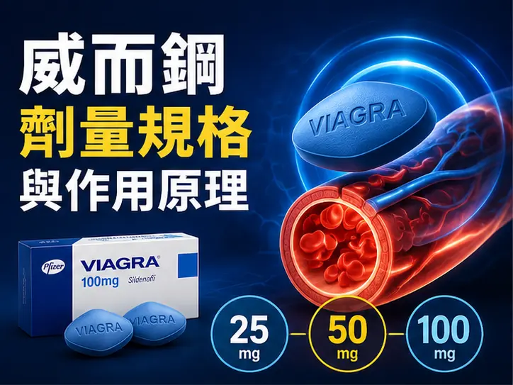 💊 威而鋼劑量規格與作用原理解析