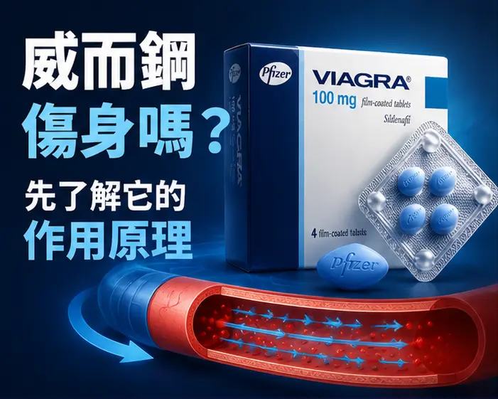 💊 威而鋼傷身嗎？先了解它的作用原理
