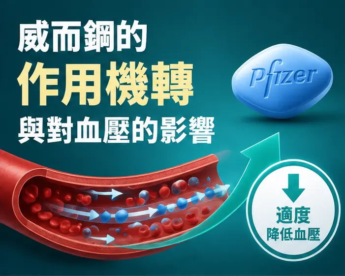 💊 威而鋼的作用機轉與對血壓的影響