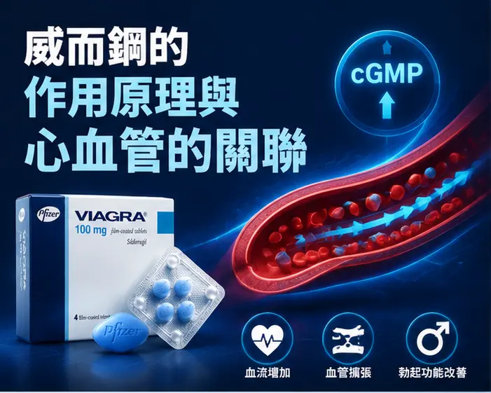 💊 威而鋼的作用原理與心血管的關聯 💊 威而鋼的作用原理與心血管的關聯