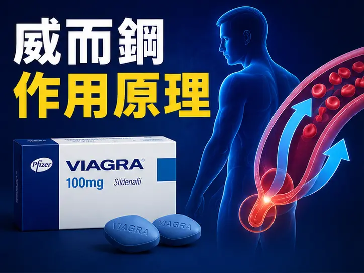 💊 威而鋼作用原理與適應症說明 💊 威而鋼作用原理與適應症說明
