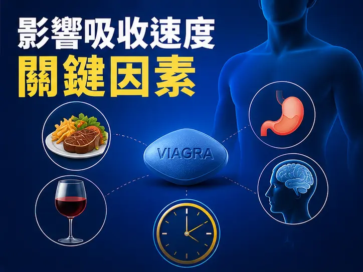 🍽️ 影響威而鋼吸收速度的關鍵因素
