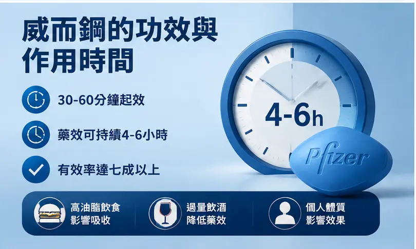 ⏰ 威而鋼的功效與作用時間有多久？