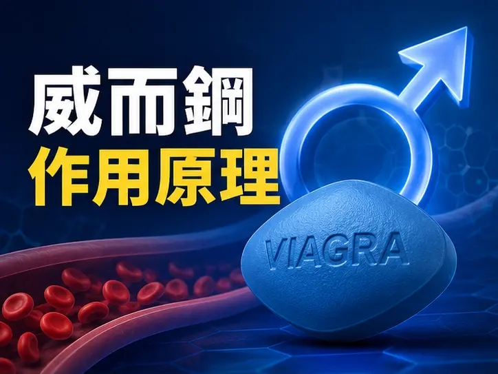 💊 威而鋼作用原理與副作用的關聯 💊 威而鋼作用原理與副作用的關聯